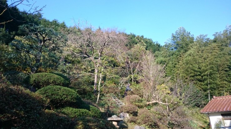 島根県大田市温泉津町今日の天気は快晴