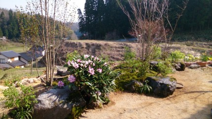 苔と下草 s-2014-04-08-15.09.27
