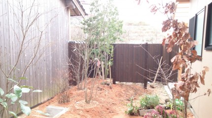 大澤の杜「四季を感じられる庭空間」大澤邸　扉隠し完成