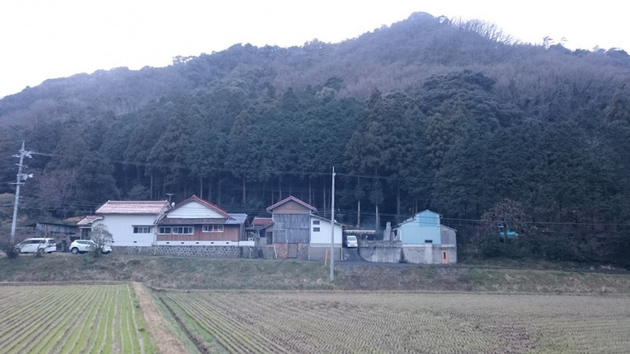 我が家の裏山 我が家の裏山