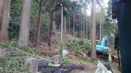 我が家の山、伐採進行中