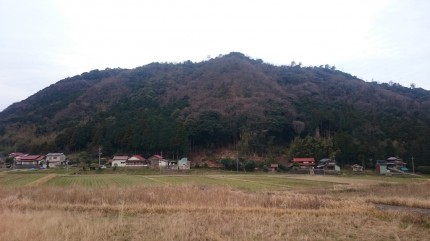 島根県大田市にある我が家の裏山