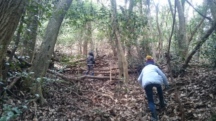 落ち葉をかき分け山頂を目指し進む