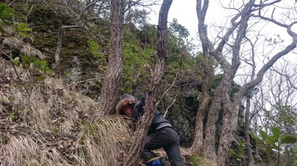 木々の幹を上手に持ちながらのり面を登る