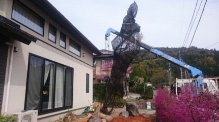 s-2016-04-09-10.10.25