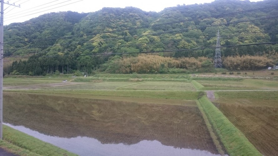 山々の新緑と田植え