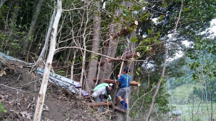足場の作成 足場の作成