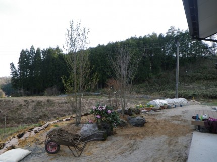 岩根の杜「心落ち着く庭空間」植栽開始 岩根の杜「心落ち着く庭空間」植栽開始