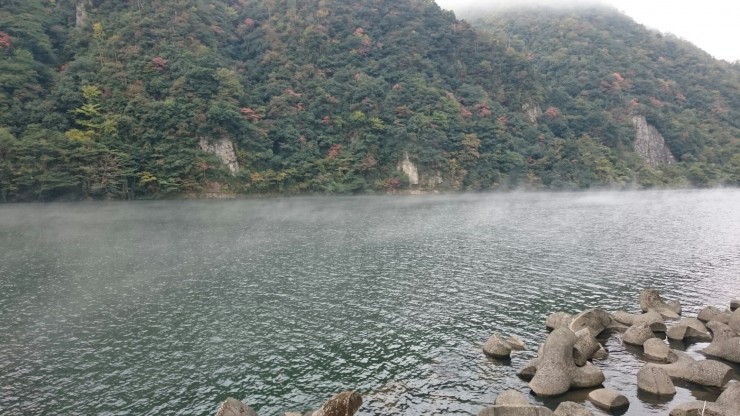 朝霧たちこめる江の川