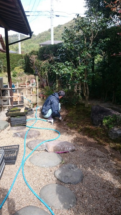 「茶庭」苔張りリフォーム続き