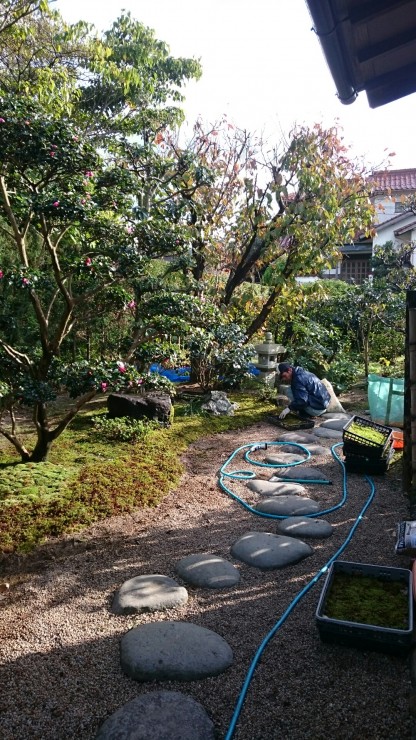 「茶庭」苔張りリフォーム続き